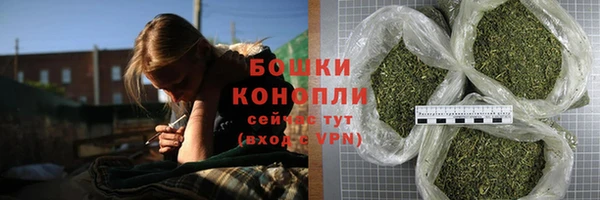 дживик Протвино