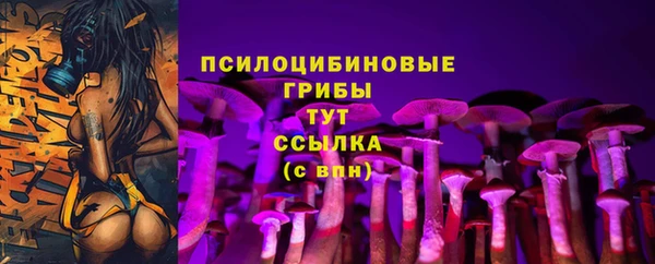 ГАЛЛЮЦИНОГЕННЫЕ ГРИБЫ Приозерск