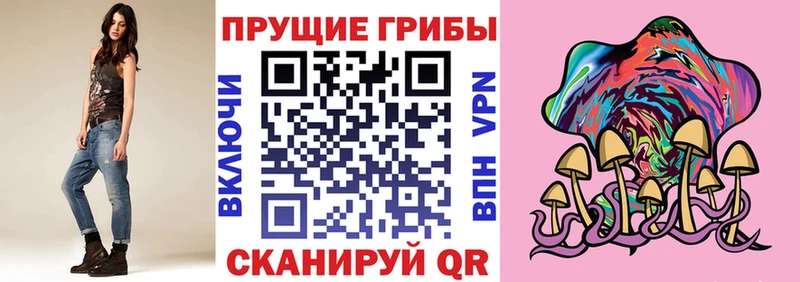 Псилоцибиновые грибы Psilocybine cubensis  ОМГ ОМГ ТОР  Хотьково 